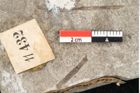 Foto (Detailansicht) von Carpinus macroptera Brongniart (NHMW-GEO-2024-0188-11432)
